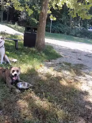 Crider Avenue Trail - New Philadelphia, OH