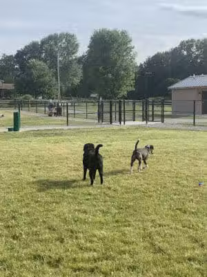 Southside Community Park - New Philadelphia, OH