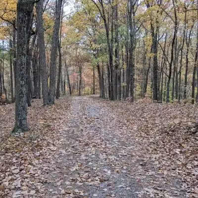 Lake Hope Grouse Pt. Mountain Bike Trailhead - New Plymouth, OH