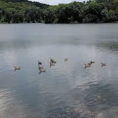 Lake Hope State Park Beach - New Plymouth, OH