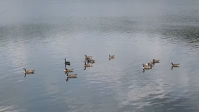 Lake Hope State Park Beach - New Plymouth, OH