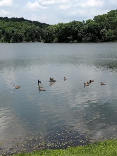 Lake Hope State Park Beach - New Plymouth, OH