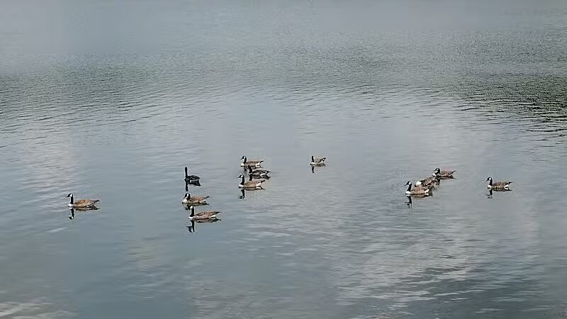 Lake Hope State Park Beach - New Plymouth, OH