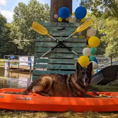 Cross Creek Farm Canine Water Sports LLC - New Richmond, OH