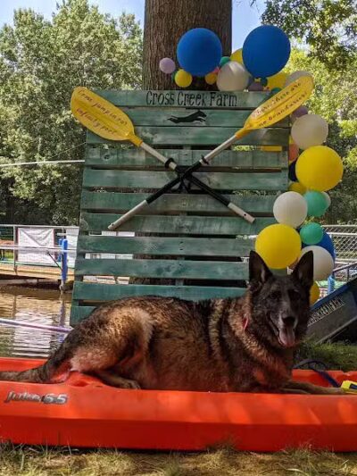 Cross Creek Farm Canine Water Sports LLC - New Richmond, OH