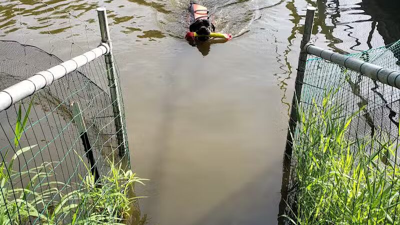 Cross Creek Farm Canine Water Sports LLC - New Richmond, OH