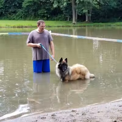 Cross Creek Farm Canine Water Sports LLC - New Richmond, OH
