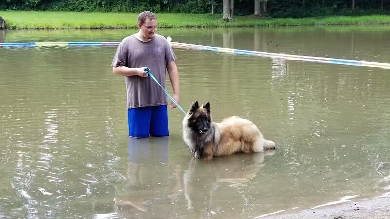 Cross Creek Farm Canine Water Sports LLC - New Richmond, OH