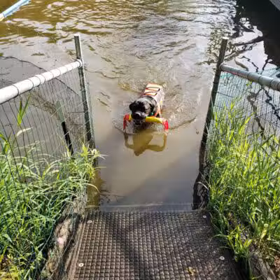Cross Creek Farm Canine Water Sports LLC - New Richmond, OH