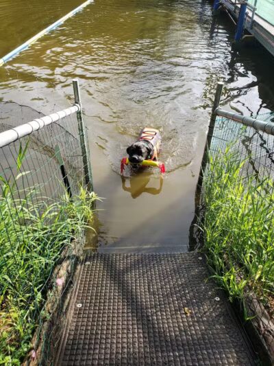 Cross Creek Farm Canine Water Sports LLC - New Richmond, OH