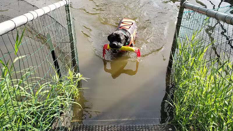 Cross Creek Farm Canine Water Sports LLC - New Richmond, OH