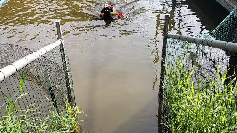 Cross Creek Farm Canine Water Sports LLC - New Richmond, OH
