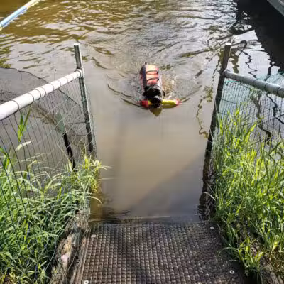 Cross Creek Farm Canine Water Sports LLC - New Richmond, OH