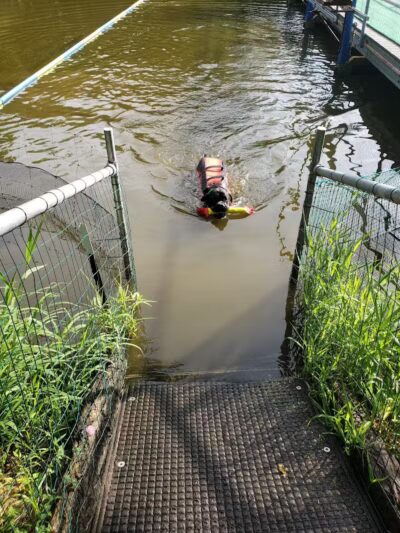 Cross Creek Farm Canine Water Sports LLC - New Richmond, OH