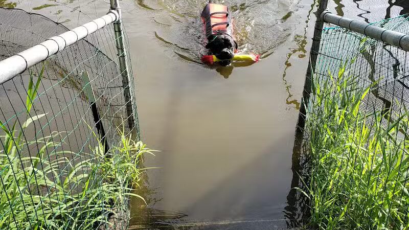 Cross Creek Farm Canine Water Sports LLC - New Richmond, OH