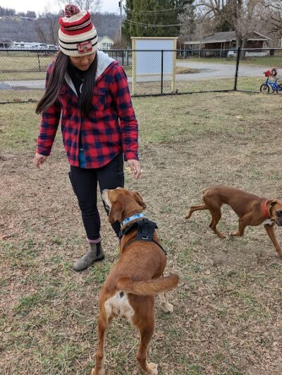 Elko Memorial Dog Park - New Richmond, OH