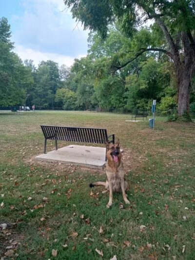 New Richmond Dog Park - New Richmond, OH