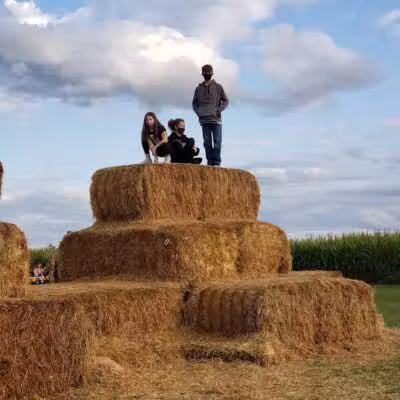 Maze Craze Corn Maze - New Springfield, OH