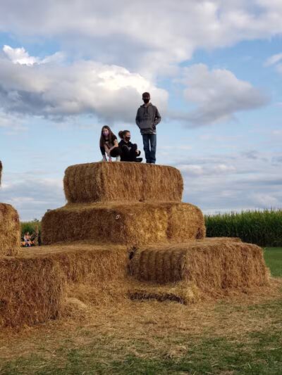Maze Craze Corn Maze - New Springfield, OH