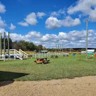 Maze Craze Corn Maze - New Springfield, OH