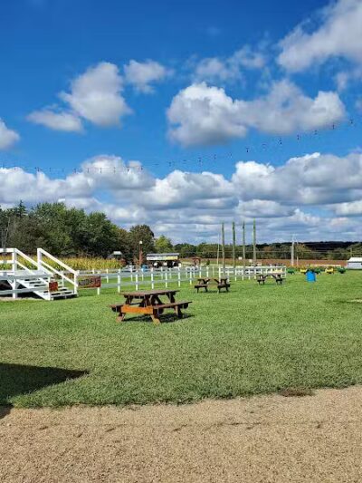 Maze Craze Corn Maze - New Springfield, OH