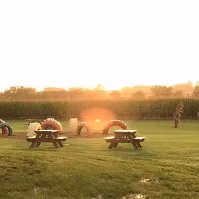 Maze Craze Corn Maze - New Springfield, OH