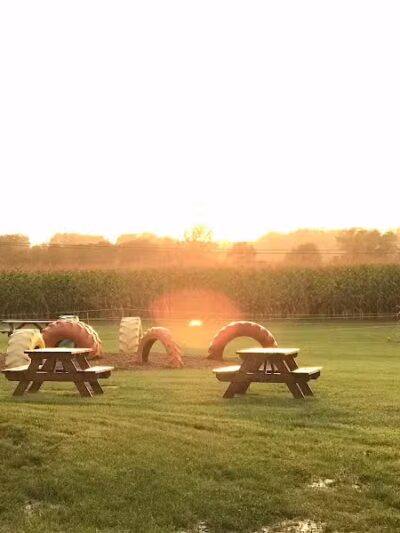 Maze Craze Corn Maze - New Springfield, OH