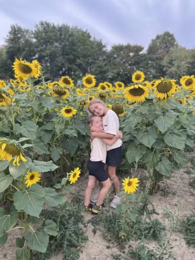 Maze Craze Corn Maze - New Springfield, OH