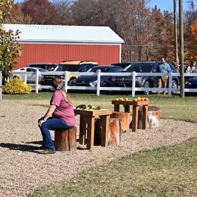 Maze Craze Corn Maze - New Springfield, OH