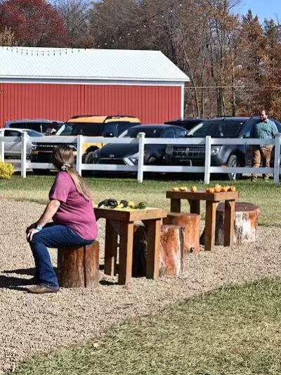 Maze Craze Corn Maze - New Springfield, OH