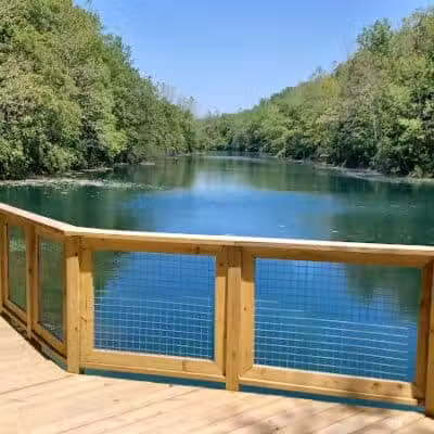 Springfield Forest, Mill Creek MetroParks - New Springfield, OH