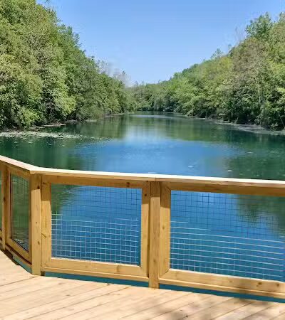 Springfield Forest, Mill Creek MetroParks - New Springfield, OH