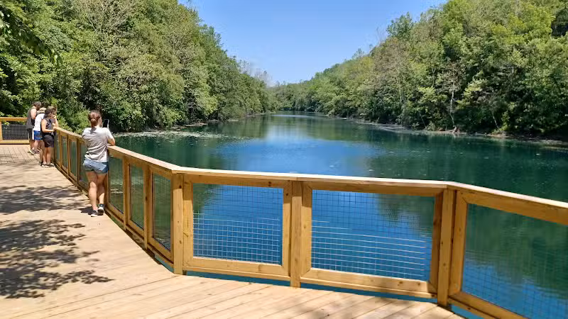 Springfield Forest, Mill Creek MetroParks - New Springfield, OH