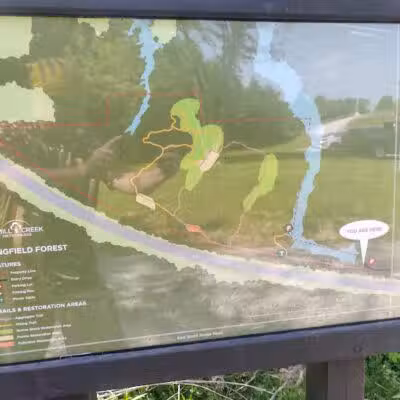 Springfield Forest, Mill Creek MetroParks - New Springfield, OH