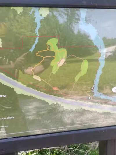 Springfield Forest, Mill Creek MetroParks - New Springfield, OH