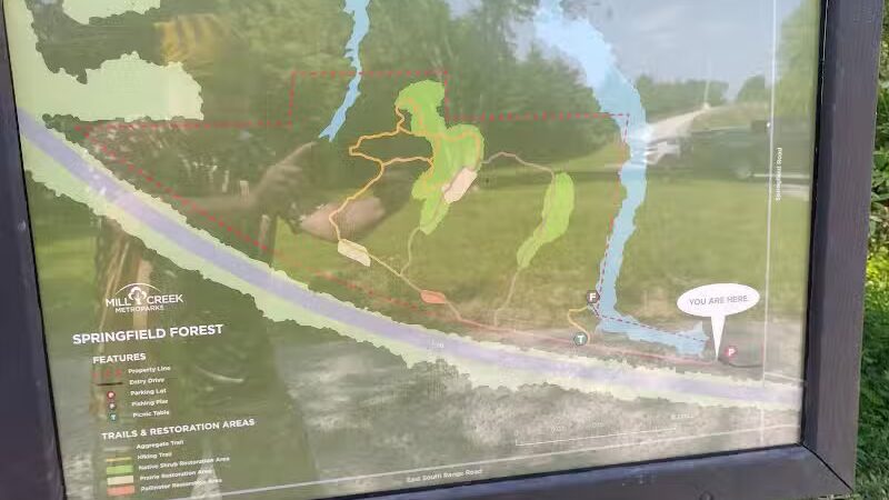 Springfield Forest, Mill Creek MetroParks - New Springfield, OH