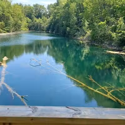Springfield Forest, Mill Creek MetroParks - New Springfield, OH
