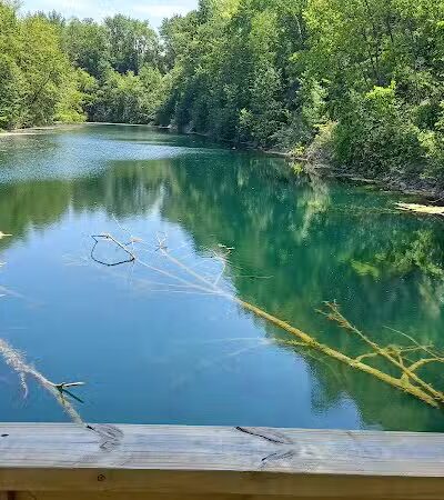 Springfield Forest, Mill Creek MetroParks - New Springfield, OH
