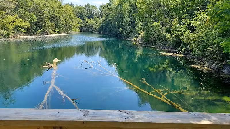Springfield Forest, Mill Creek MetroParks - New Springfield, OH
