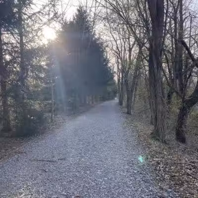 Springfield Forest, Mill Creek MetroParks - New Springfield, OH