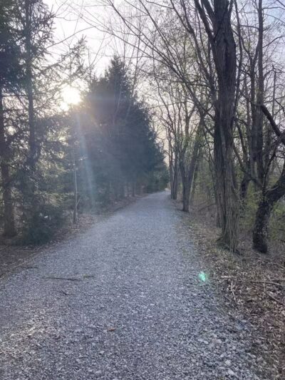 Springfield Forest, Mill Creek MetroParks - New Springfield, OH
