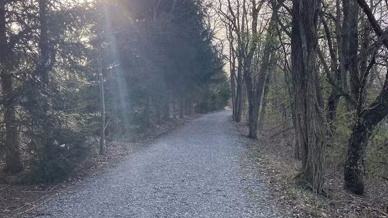 Springfield Forest, Mill Creek MetroParks - New Springfield, OH