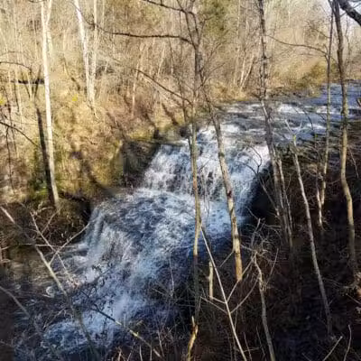 Fallsville Wildlife Area - New Vienna, OH