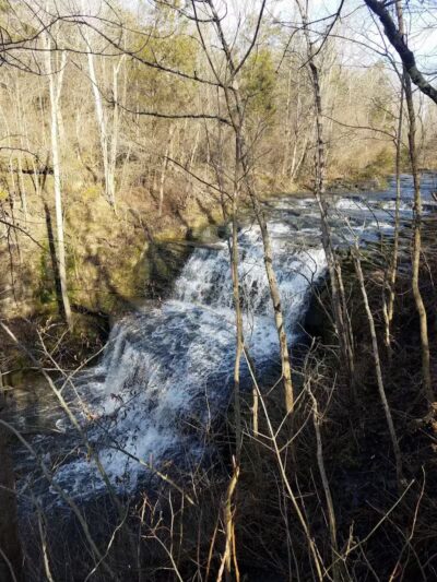Fallsville Wildlife Area - New Vienna, OH