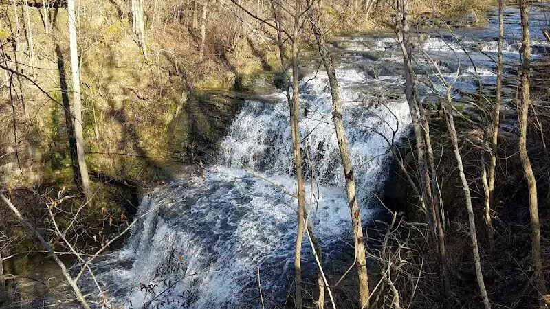Fallsville Wildlife Area - New Vienna, OH