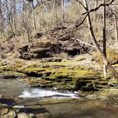 Fallsville Wildlife Area - New Vienna, OH