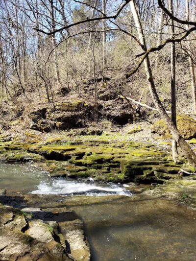 Fallsville Wildlife Area - New Vienna, OH