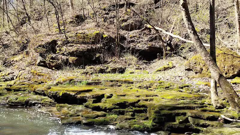 Fallsville Wildlife Area - New Vienna, OH