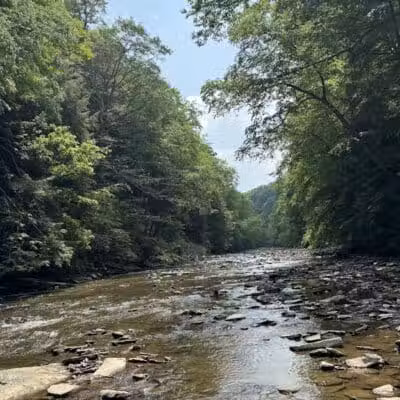Fallsville Wildlife Area - New Vienna, OH