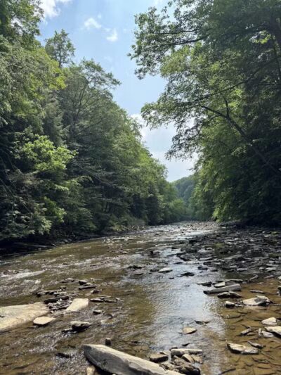 Fallsville Wildlife Area - New Vienna, OH
